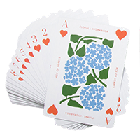 Playing Cards